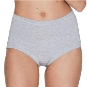 JBS of Denmark Truser Bamboo Maxi Brief Lysgrå Small Dame