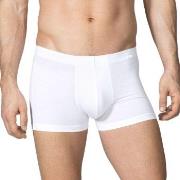 Calida Focus New Boxer 26165 Hvit XX-Large Herre