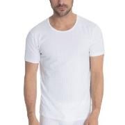 Calida Pure and Style T-shirt Hvit bomull Small Herre