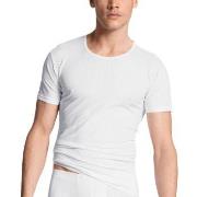 Calida Pure and Style T-shirt Hvit bomull Large Herre