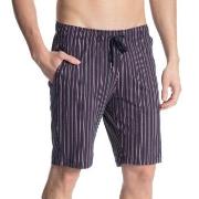 Calida Remix Basic Shorts Stripet bomull Medium Herre