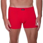 Bruno Banani Check Line 2.0 Shorts Rød polyamid Small Herre