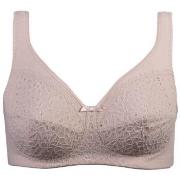 Damella BH Classic Soft Lace Bra Pudder B 90 Dame