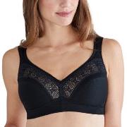 Swegmark BH Cotton Star Soft Bra Svart bomull C 100 Dame