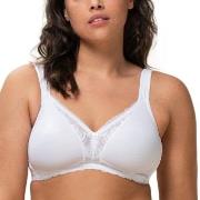 Triumph BH Modern Lace Cotton Soft Bra Hvit A 90 Dame