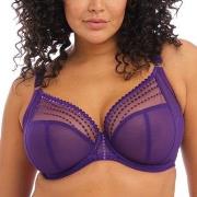 Elomi BH Matilda Underwired Plunge Bra Lilla L 80 Dame