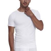 Sloggi 2P Men ABC O Neck T Shirt Hvit bomull Small Herre