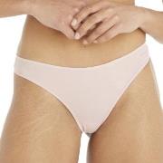 Calvin Klein Truser Sheer Marquisette Thong Lysrosa Large Dame