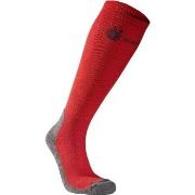 Seger Strømper Alpine Compression Sock Rød Str 43/45