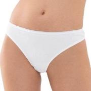 Mey Truser Organic Cotton Mini Briefs Hvit bomull X-Small Dame