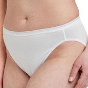 Decoy Truser 5P Tai Briefs Hvit økologisk bomull Small Dame