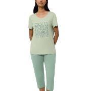 Triumph PK 02 Capri Pyjama Set Grønn bomull 40 Dame