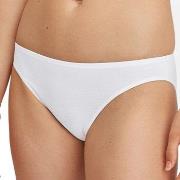 Calida Truser Essential Cotton Low Cut Brief Hvit bomull X-Small Dame