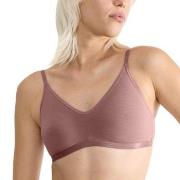 Sloggi BH GO Daily Cotton Soft Bra Mørkrosa X-Large Dame