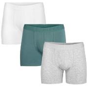 Pierre Robert 3P For Men Boxers Blå/Grå økologisk bomull Large Herre