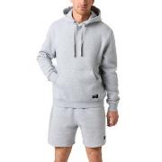 Björn Borg Centre Hood Lysgrå X-Large Herre