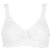 Damella BH Felice Soft Bra Hvit bomull F 80 Dame