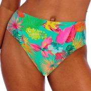 Freya Isla Margarita High Waist Brief Jade/Grønn Small Dame