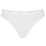 Sloggi Truser 3P 24 7 100 Tai Briefs Hvit bomull 48 Dame