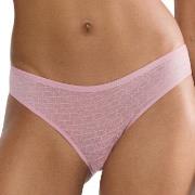 Triumph Truser Signature Sheer Tai Brief Gammelrosa 36 Dame