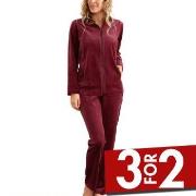 Damella Velour Plain Suit Mørkrød   3XL Dame