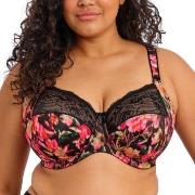 Elomi BH Morgan Banded Bra Blomstret J 90 Dame