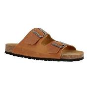 Axelda Andrea Kamel Str 40