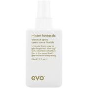 Evo Mister Fantastic Blowout Spray 50 ml