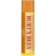 Burt's Bees Lip Balm Honey - 4 g