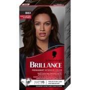 Schwarzkopf Brillance Intensive Color Creme 883 Magic Black Brown - 1 ...