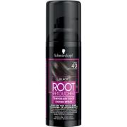 Schwarzkopf Root Retoucher Black