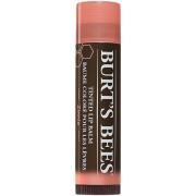 Burt's Bees Tinted Lip Balm Zinnia - 4,2 g
