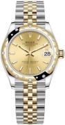 Rolex Dameklokke 278343RBR-0014 Datejust 31 Gulltonet/18 karat gult