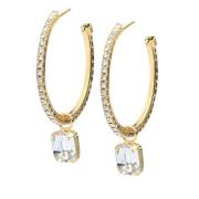 Hvit Caroline Svedbom Lydia Loop Earrings Gold Crystal Jewelry