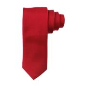 Slim Wine Red Silk Tie Accessory