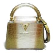 Pre-owned Leather louis-vuitton-bags