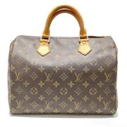 Pre-owned Fabric louis-vuitton-bags