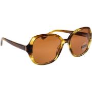 Hayworth Shiny Ocre Tortoise Solbriller