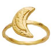 Moon Hunter Gull Ring