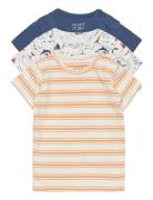Asmo - T-Shirt 3Pack Patterned Hust & Claire