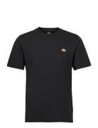 Ss Mapleton Tee Black Dickies