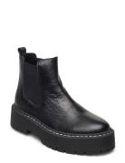 Veerly Bootie Black Steve Madden