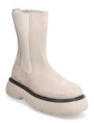 Warrior Bootie Beige Steve Madden