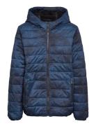 Kids Boys Outerwear Navy Abercrombie & Fitch