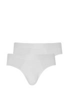 Brief 2-P White Jockey