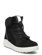 Urban Snowboarder Black ECCO