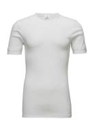 Jbs T-Shirt Classic White JBS