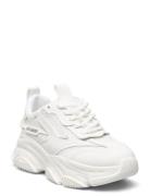 Jpossession Sneaker White Steve Madden