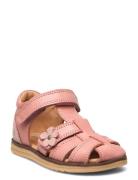 Sky Sandal Flower Pink Wheat