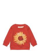 Sgbbuzz Sunflower Sweatshirt Orange Soft Gallery